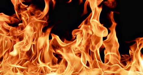 flames的中文(flames的中文意思)缩略图