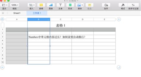 numbers格式用什么软件打开(numbers文件用什么软件打开)缩略图