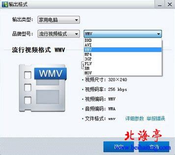视频转avi格式(手机视频转avi格式)缩略图