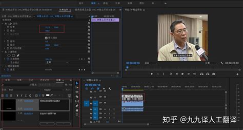 nfo格式的字幕怎么用(nfo是字幕文件吗)缩略图