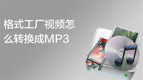 3gp格式视频(3gp格式视频播放器)缩略图