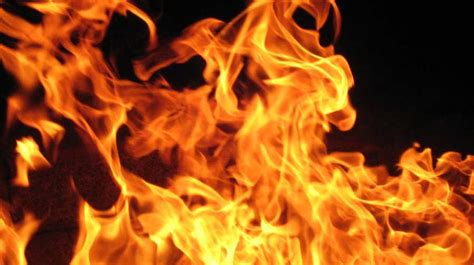 flame flame(flame flame flame)缩略图