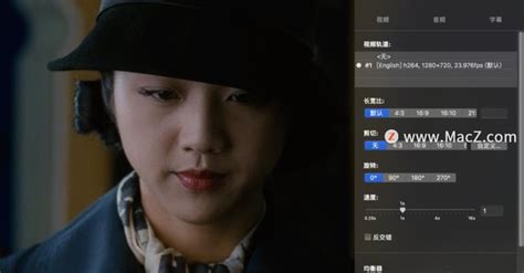 swf格式播放软件(swf格式的播放器)缩略图