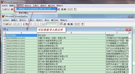 dbf格式文件,dbf格式文件用什么软件打开缩略图