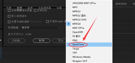 sbv格式视频(视频sdv格式)缩略图