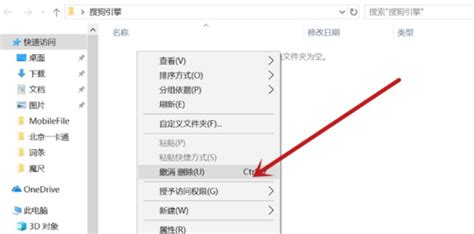 nfo格式文件能删除吗(nif格式文件)缩略图