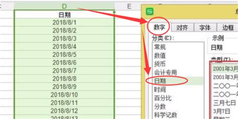 exp后面的日期格式,ex 后面的日期缩略图