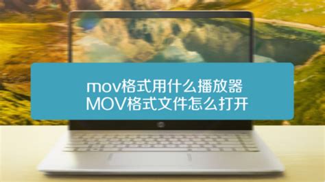 mov格式手机用什么播放,mov格式手机用什么播放器缩略图