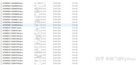 dicom格式怎么读(dicom格式怎么读取)缩略图
