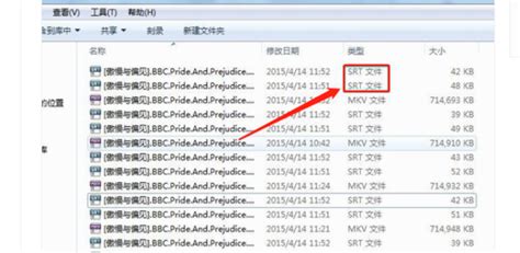 sbv是什么文件(文件sbv是什么意思)缩略图