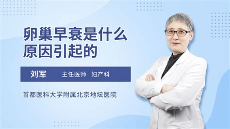 php3是什么(php3是什么意思)缩略图