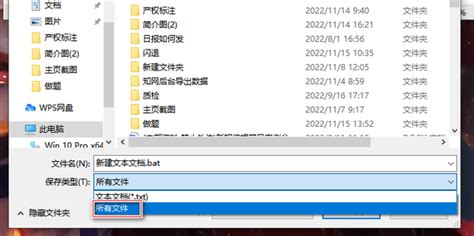 dat格式视频,dat格式视频打开方法缩略图
