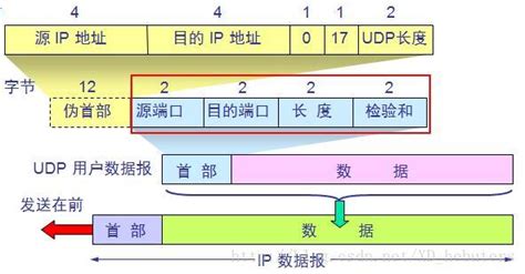 pfb格式(pfb格式的字体)缩略图