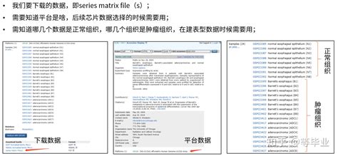 pcl格式,pcl格式化json对象失败缩略图