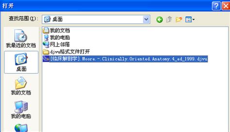 djvu格式怎么打开,djvu格式怎么打开呢缩略图
