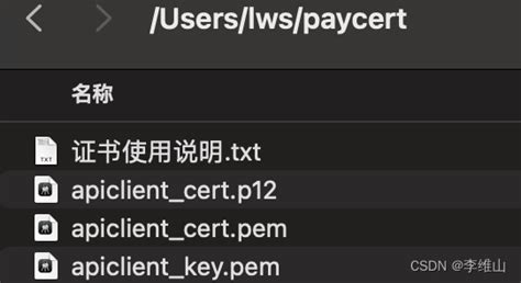 p12格式文件下载(p12格式的文件怎么打开)缩略图