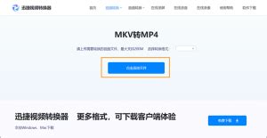 mkv格式没有声音(mkv格式没有声音怎么办)缩略图