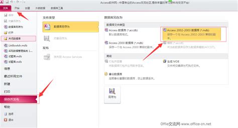 accdb格式WPS,accdb格式文件怎么打开缩略图