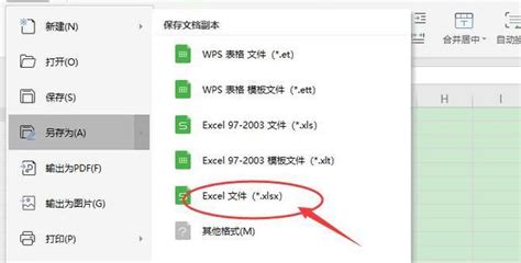 xlsx格式怎么转换成docx格式,xlsx工作表转docx文档缩略图