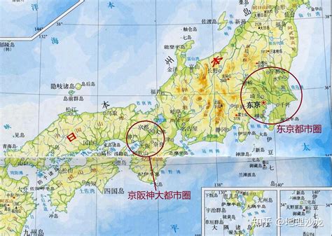 地格是哪里,地格是哪个部位缩略图