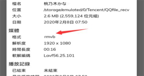 rmvb格式怎么下载,rmvb格式怎么下载到u盘缩略图