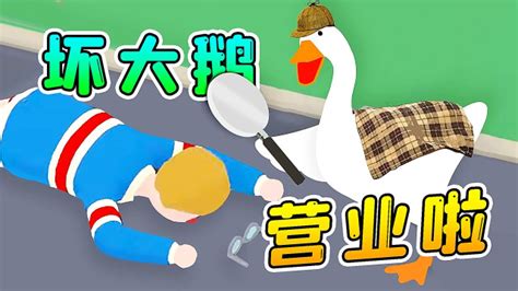 鹅哥视频(鹅哥视频全集完整版)缩略图