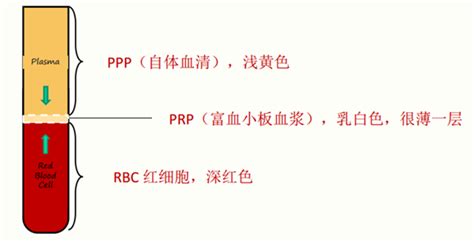 prp是什么格式文件(prp格式在哪里打开)缩略图