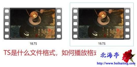ts格式是什么格式,ts格式和mp4哪个清晰缩略图