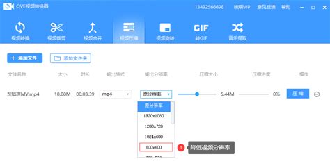 tc格式视频(视频tc版和高清版)缩略图