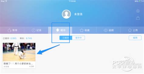 ipad怎么看torrent格式视频(ipad怎么看torrent的视频)缩略图
