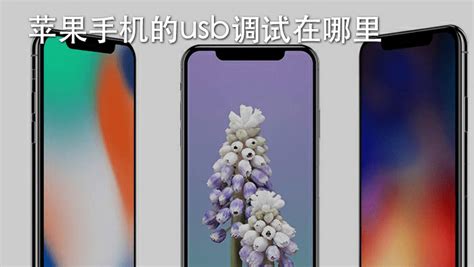 8p苹果手机视频格式怎么调更好看(苹果手机视频格式mov变为mp4)缩略图