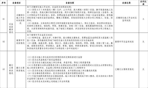 it系统自检报告格式,软件系统自检报告模板缩略图
